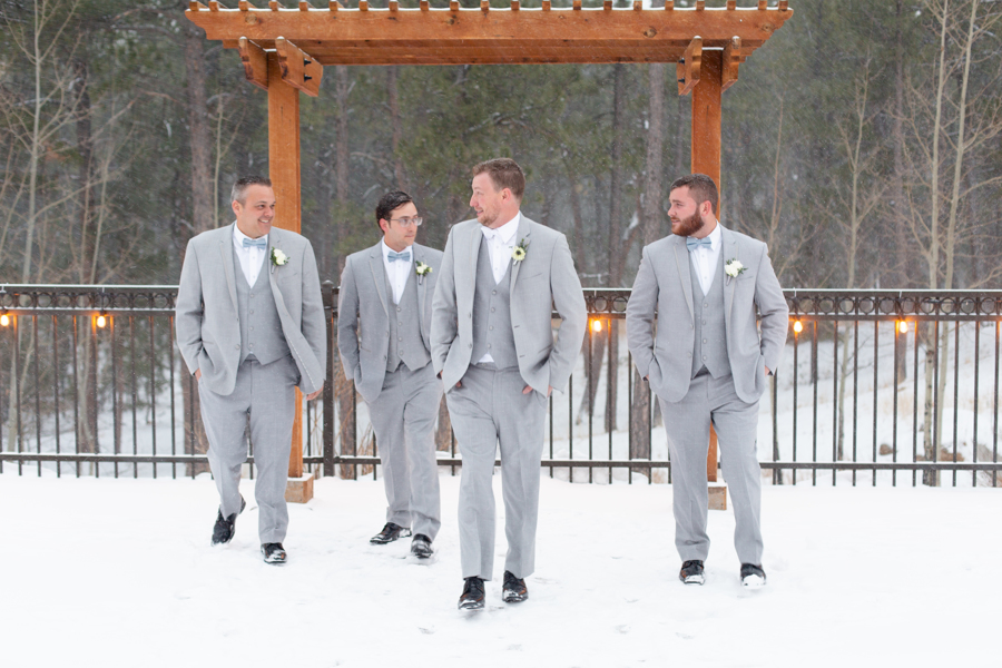 Wedding party portraits at Black Forest Wedgewood